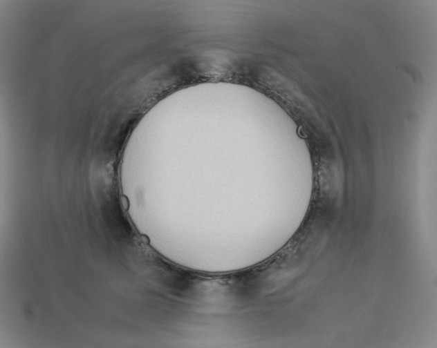 X0000112770611200910011238