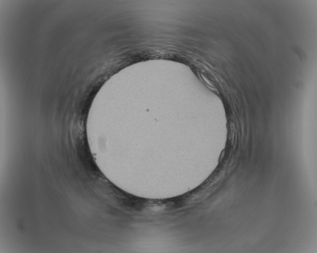 X0000112770613200910011238