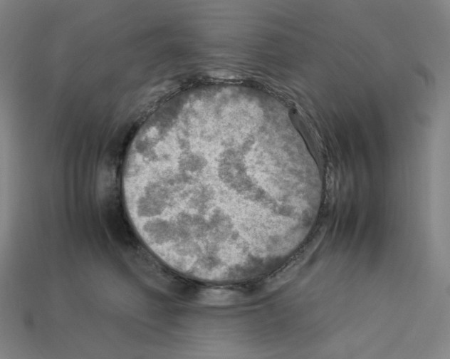 X0000112770614200910011238