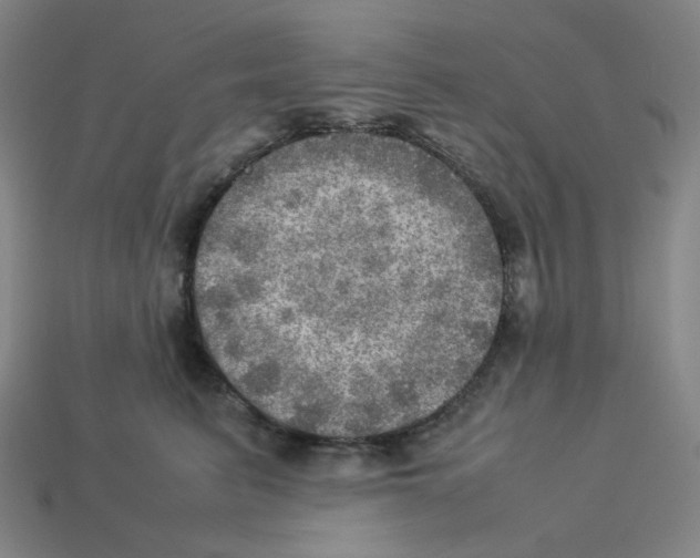 X0000112770615200910011238