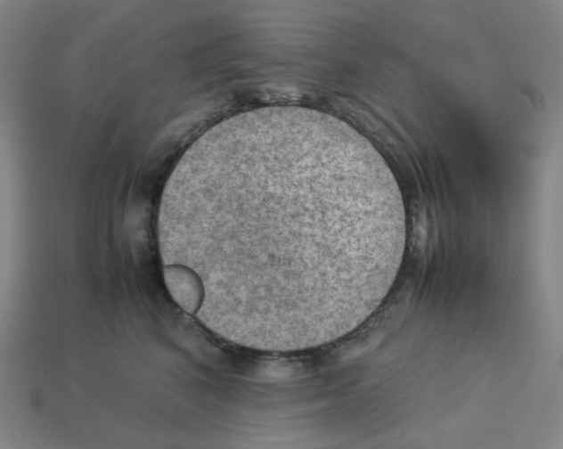 X0000112770616200910011238