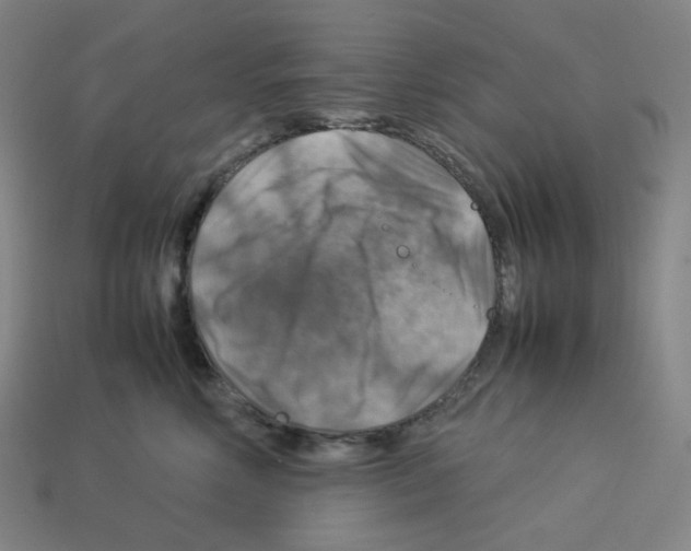 X0000112770618200910011238