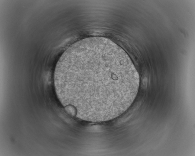 X0000112770620200910011238