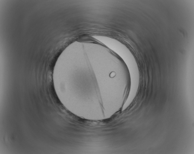 X0000112770621200910011238