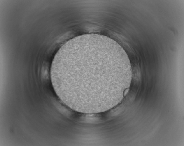 X0000112770622200910011238