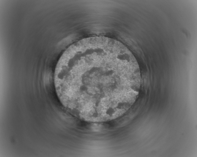 X0000112770623200910011238