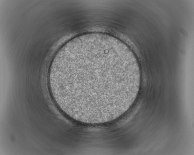 X0000112770625200910011237