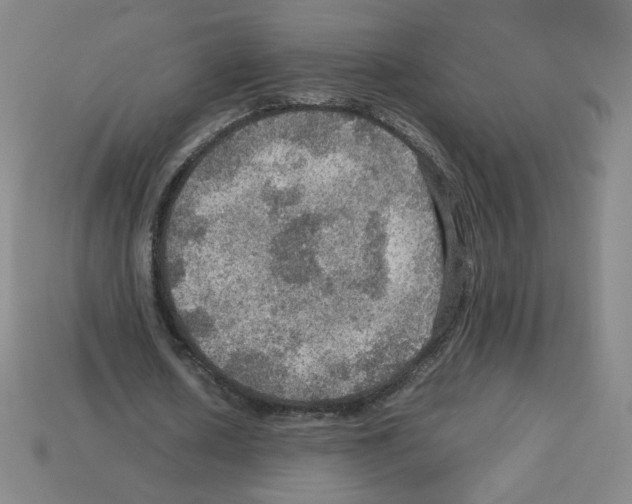 X0000112770626200910011237