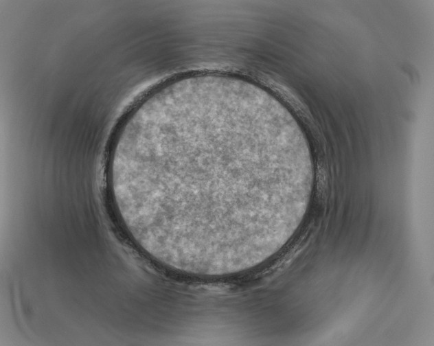 X0000112770628200910011237