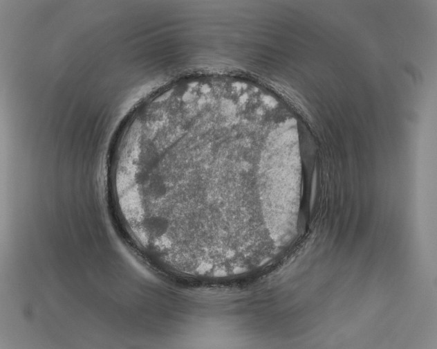 X0000112770630200910011237