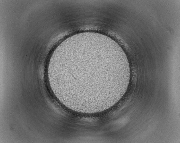 X0000112770631200910011237