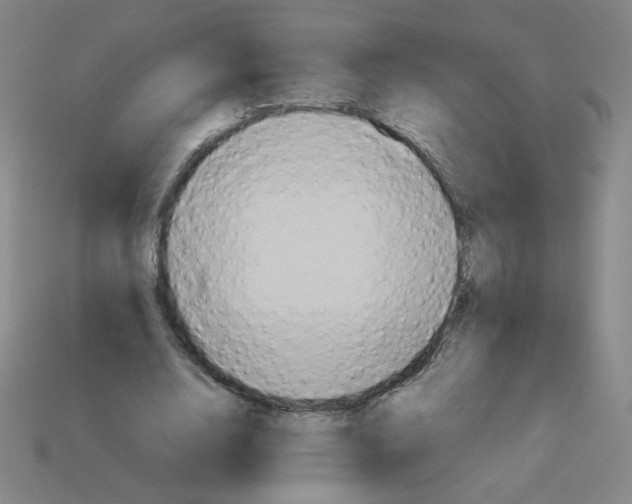 X0000112770632200910011237