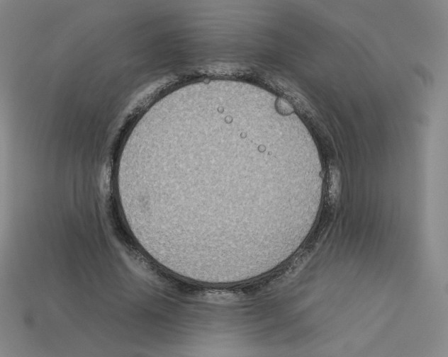 X0000112770636200910011237