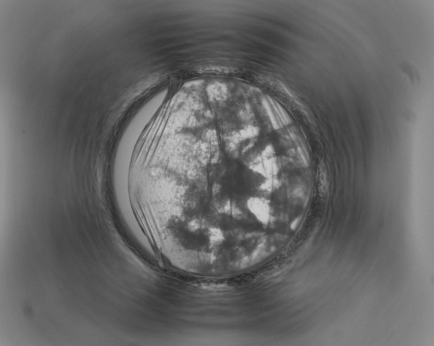 X0000112770637200910011237