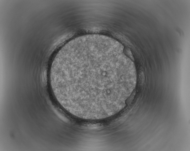 X0000112770638200910011237