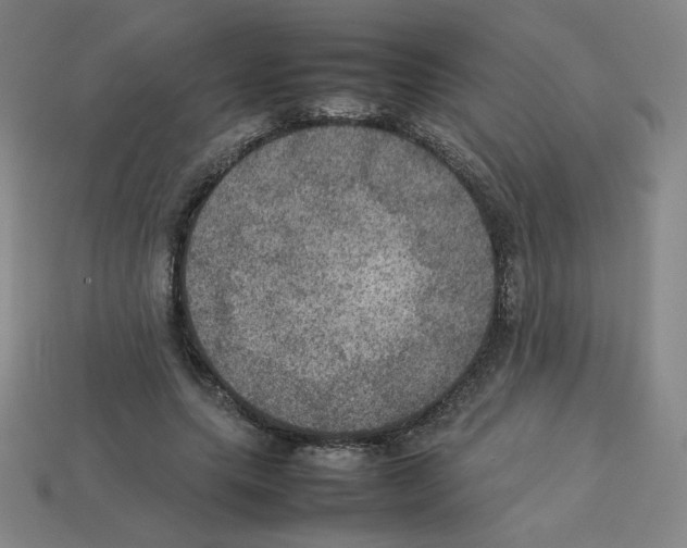 X0000112770639200910011237