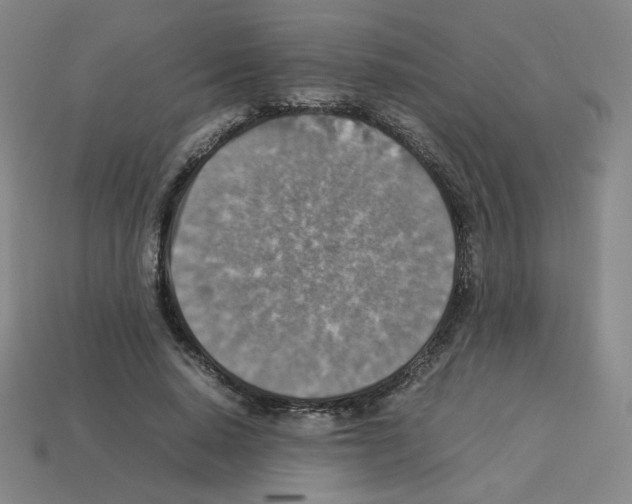 X0000112770640200910011237