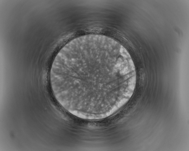 X0000112770641200910011237