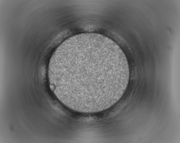 X0000112770646200910011237