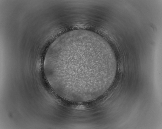 X0000112770647200910011237