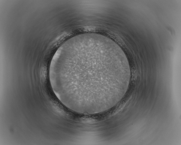 X0000112770648200910011237