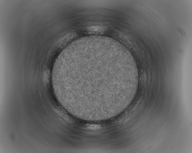 X0000112770649200910011237