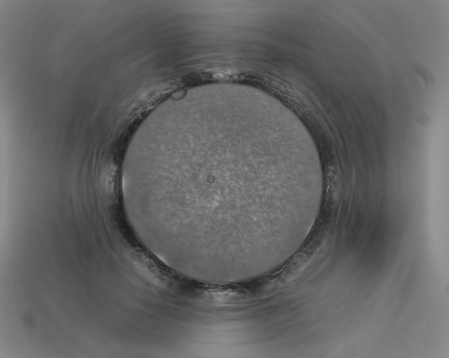 X0000112770650200910011238