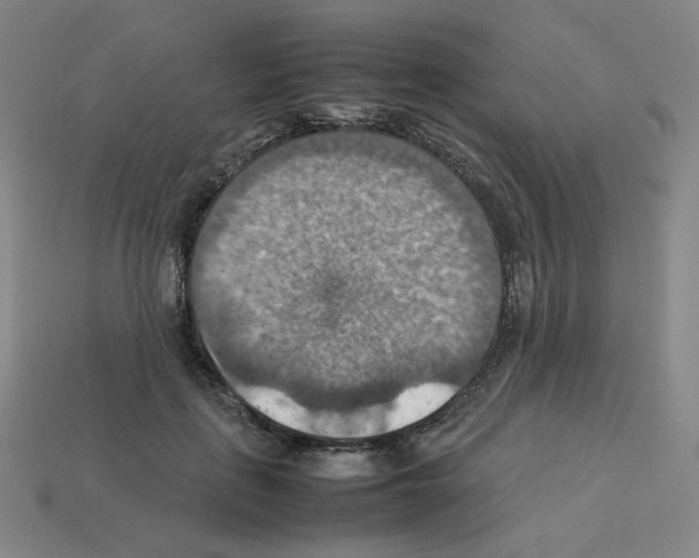 X0000112770651200910011238