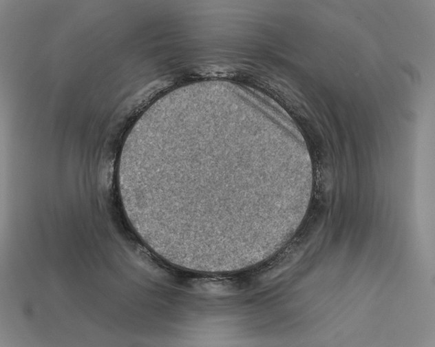 X0000112770652200910011238