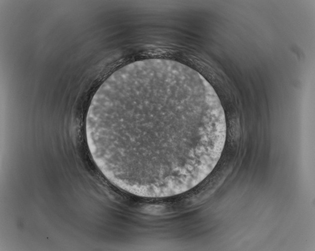 X0000112770653200910011238