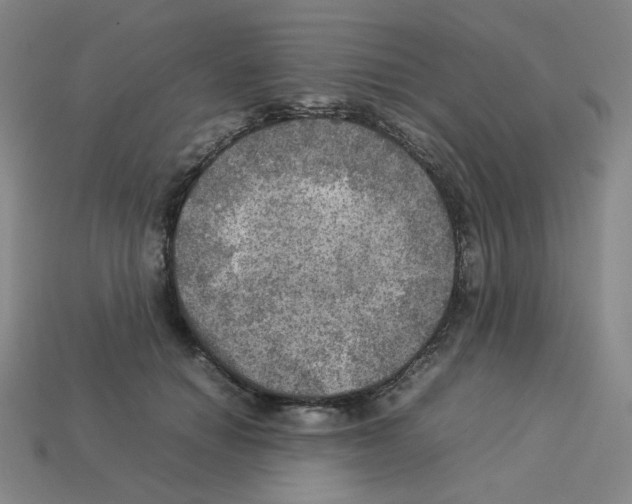 X0000112770654200910011238