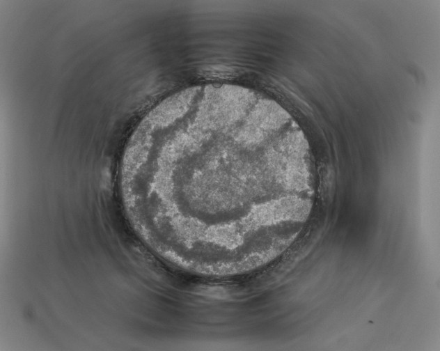 X0000112770655200910011238