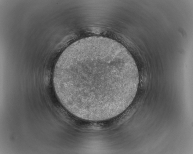 X0000112770656200910011238