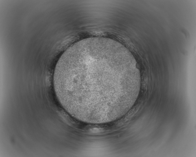 X0000112770658200910011238