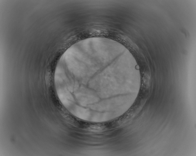 X0000112770659200910011238