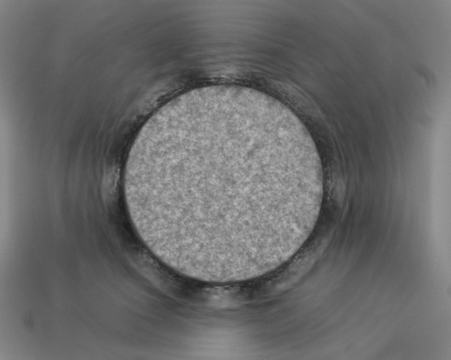 X0000112770660200910011238