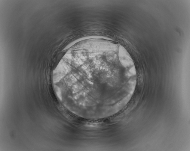 X0000112770661200910011238