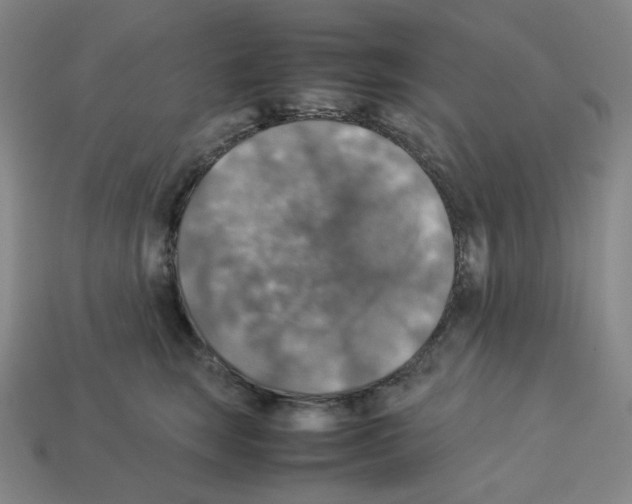 X0000112770663200910011238