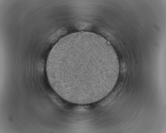 X0000112770664200910011238