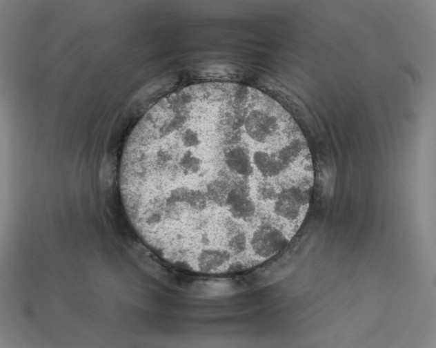 X0000112770665200910011238