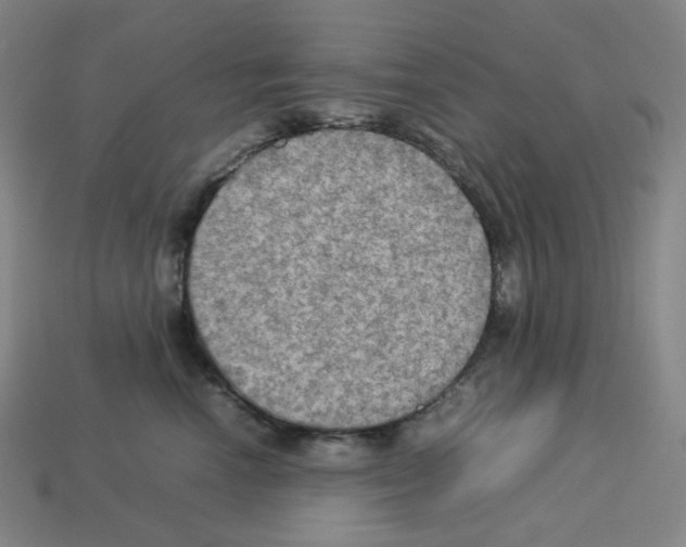 X0000112770666200910011238