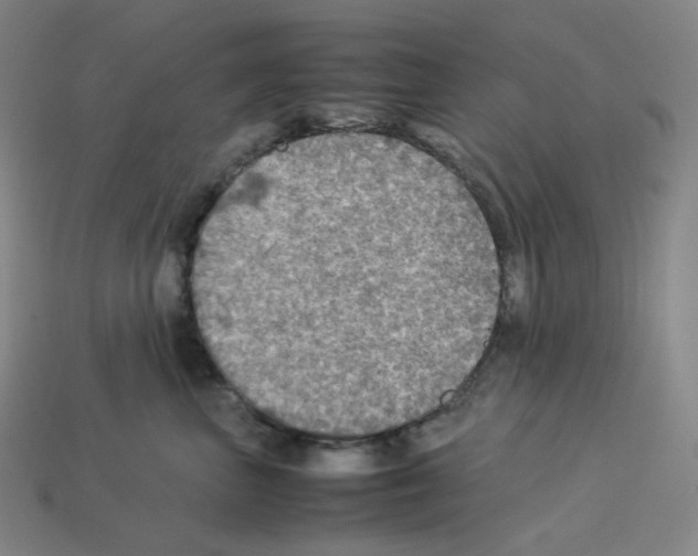 X0000112770667200910011238