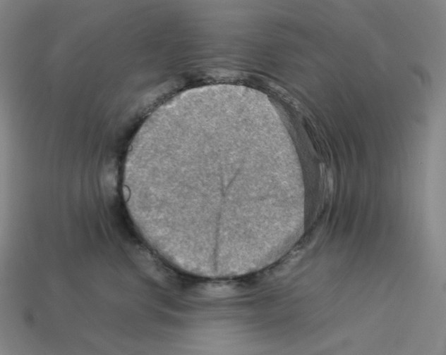 X0000112770668200910011238