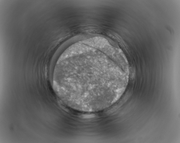 X0000112770669200910011238