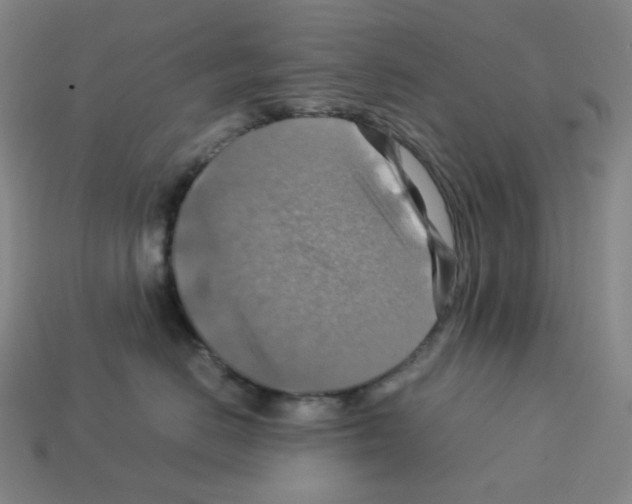 X0000112770670200910011238