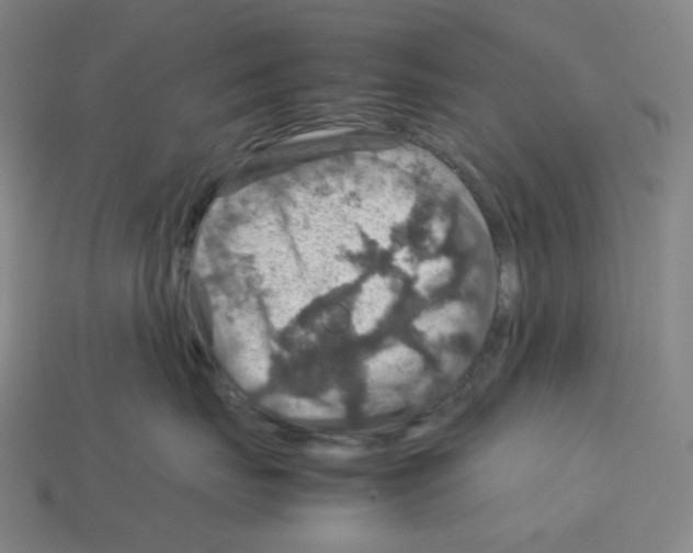 X0000112770671200910011238