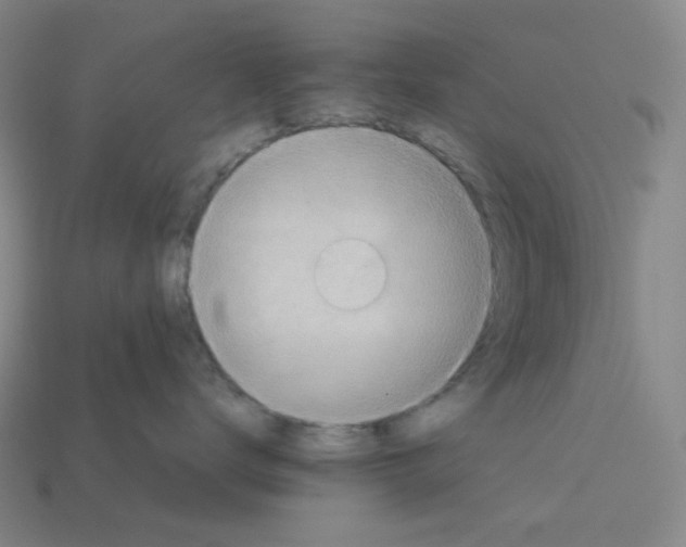 X0000112770672200910011238