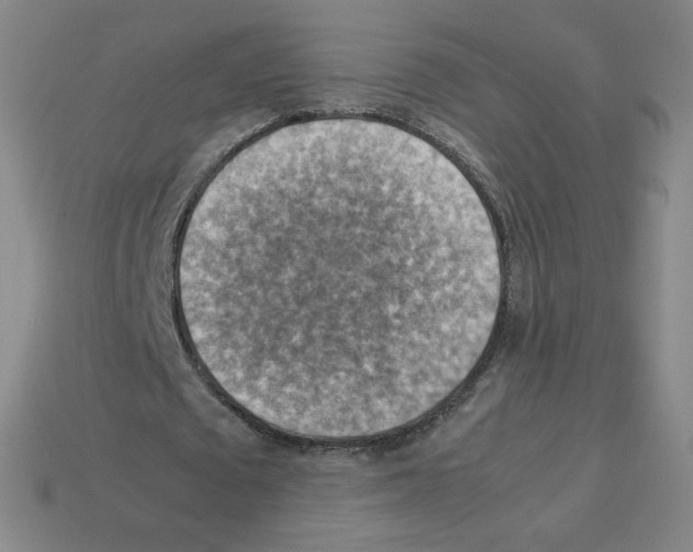 X0000112770673200910011237