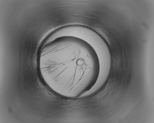 X0000112770676200910011237