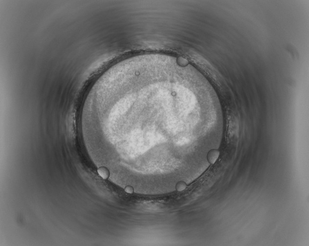 X0000112770680200910011237